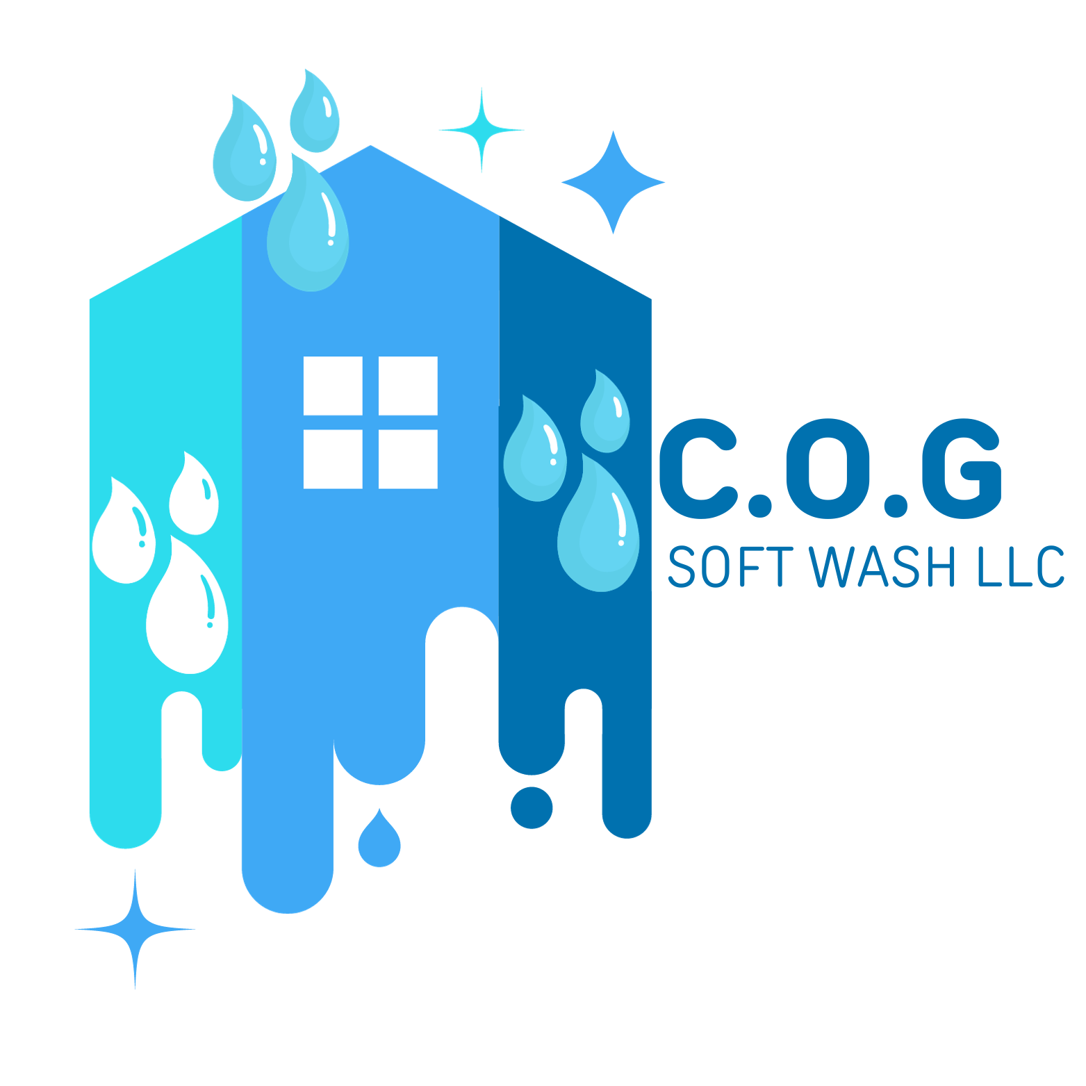 C.O.G  SOFT WASH